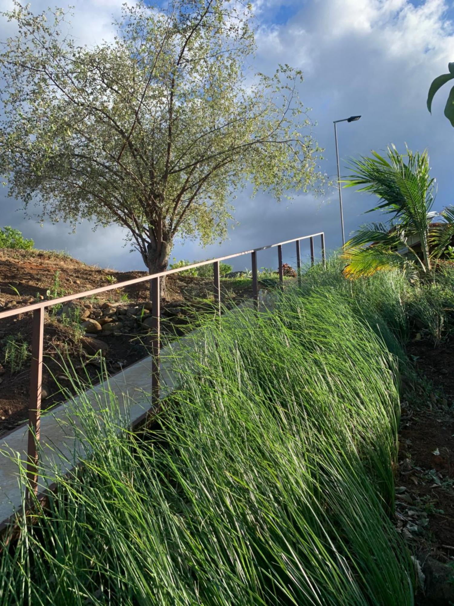 Conectar Con La Naturaleza Esparza Exterior foto